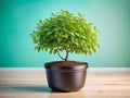 Flourishing Investment Growth: Green Tree in Pot Symbolizes Income.