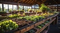 The Flourishing Network of Local Farming Co-ops and Community Prosperity. Generative AI