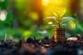 A flourishing plant rising from a stack of coins planted in fertile soil, illustrating the concept of both financial abundance and