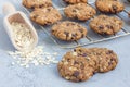 Flourless gluten free peanut butter, oatmeal and chocolate chips cookie on cooling rack, horizontal