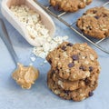 Flourless gluten free peanut butter, oatmeal and chocolate chips cookies on cooling rack, square format