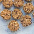 Flourless gluten free peanut butter, oatmeal and chocolate chips cookies on cooling rack, top view, square