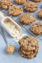 Flourless gluten free peanut butter, oatmeal and chocolate chips cookies on cooling rack, vertical