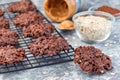 Flourless no bake peanut butter and oatmeal chocolate cookies on  cooling rack, horizontal Royalty Free Stock Photo