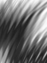 Flow abstract pattern black background