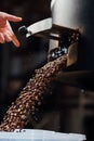 The flow of coffee beans from hand open flap of the cooling mixer of roasting machine Royalty Free Stock Photo