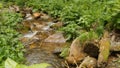 Flow down clean water through stones in forest water fall Royalty Free Stock Photo