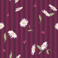 Flow_hddn_sml_015Seamless vector floral pattern with daisy flowers on striped background in white and purple colors. Ditsy print Royalty Free Stock Photo
