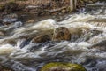 The flow motion  of willard brook Royalty Free Stock Photo