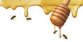 Flow of sweet honey on the white background