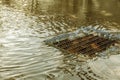 Flow of water during heavy rain and clogging of street sewage. The flow of water during a strong hurricane in storm sewers. Sewage Royalty Free Stock Photo