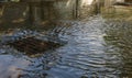 Flow of water during heavy rain and clogging of street sewage. The flow of water during a strong hurricane in storm sewers. Sewage Royalty Free Stock Photo