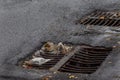 Flow of water during heavy rain and clogging of street sewage. The flow of water during a strong hurricane in storm sewers. Sewage