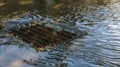 Flow of water during heavy rain and clogging of street sewage. The flow of water during a strong hurricane in storm sewers. Sewage Royalty Free Stock Photo