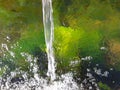 Water and algae