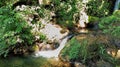 Flow of water from a natural spring in the side of river Royalty Free Stock Photo
