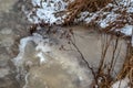 Early spring snow melts, water flows Royalty Free Stock Photo