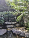 The flow of a waterfall that reaches the middle of the forest. a cool atmosphere and the sweet sound of birds chirping