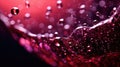 flow wine texture Royalty Free Stock Photo