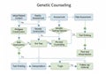Flowchart illustrating the genetic counseling process, titled Royalty Free Stock Photo