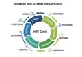 Flowchart illustrating the Hormone Replacement Therapy Royalty Free Stock Photo