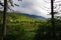 The Flowed lands in the Adirondack Mountains, High peaks region Royalty Free Stock Photo