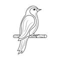 Simple dove bird Thin line vector illustration