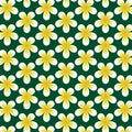 White flower on green background seamless pattern. Vector background Royalty Free Stock Photo