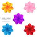 Lotus petal flowers for decoration, vector flowers, 3D