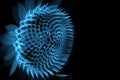 Flower 3D rendered xray blue Royalty Free Stock Photo