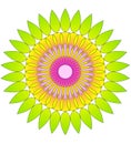 Flower abstract- circular pattern Royalty Free Stock Photo