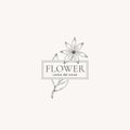 Flower Abstract Vector Sign, Symbol or Logo Template. Retro Flower Illustration with Classy Typography and Gentle Frame Royalty Free Stock Photo