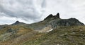 Flower along the Vallon of Rechy in the Swiss Alps