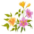 Flower alstroemeria