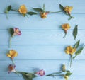 Flower alstroemeria blooming beauty romance decorative on a color wooden background, frame Royalty Free Stock Photo