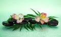 Flower of an alstroemeria and stones in drops