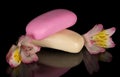 Flower of alstroemeria and two pieces soap