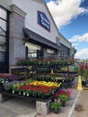 Flowers For Sale At Lowes Garden Center Royalty Free Stock Photo