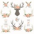Flower Antlers Collections Royalty Free Stock Photo