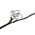 Flower on an apple tree branch, springtime. Illustration design. Black contour. Outline drawing