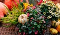Flower arrangement at the autumn fair of pink snowberry and small pumpkins orange and white, yellow chrysanthemums and decorative Royalty Free Stock Photo