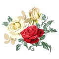 Flower arrangement bouquet of beautiful roses on white background, close up.