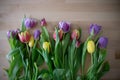 Beautiful batch of tulips