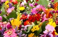 Flower Arrangement Composed of Various Blossoms, Vividly Colored in red, pink, yellow and orange Royalty Free Stock Photo