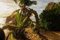 Flower arrangement for a dream wedding on the beach, La Digue Island, Seychelles Royalty Free Stock Photo