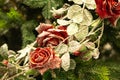 A flower arrangement. Fir branches, spruce cones and red roses in the snow in the cold. Christmas still life. Royalty Free Stock Photo