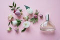 Flower arrangement. Flowers, fragrance, perfume on pink background Royalty Free Stock Photo