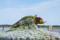 Flower arrangement in form of fish on Volzhskaya embankment, Rybinsk, Yaroslavl region, Russia