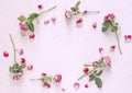 Flower arrangement. Frame of rose flowers on pink background. Flat position, top view, copy space