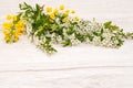 Flower arrangement of fresh flowering plants on a wooden light background.